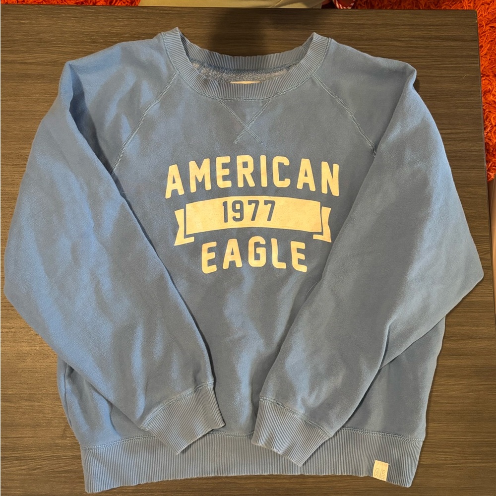American Eagle Outfitters 1977 Blue Men's Sweater